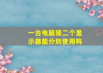 一台电脑接二个显示器能分别使用吗