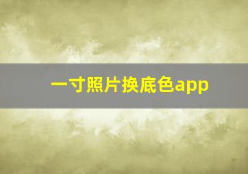 一寸照片换底色app