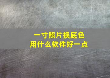 一寸照片换底色用什么软件好一点