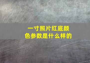 一寸照片红底颜色参数是什么样的