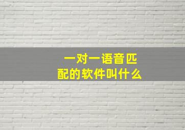 一对一语音匹配的软件叫什么