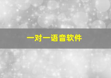 一对一语音软件