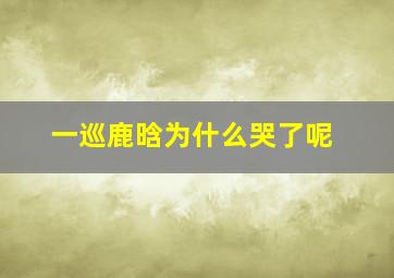 一巡鹿晗为什么哭了呢