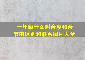 一年级什么叫音序和音节的区别和联系图片大全