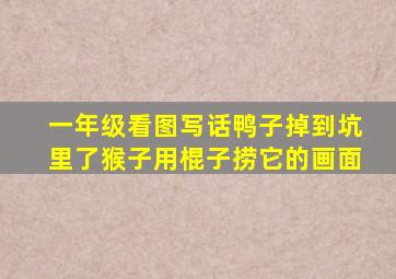 一年级看图写话鸭子掉到坑里了猴子用棍子捞它的画面