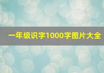 一年级识字1000字图片大全