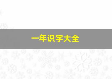 一年识字大全