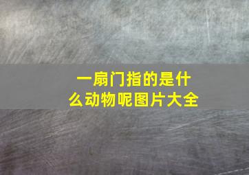 一扇门指的是什么动物呢图片大全