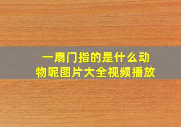 一扇门指的是什么动物呢图片大全视频播放