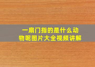 一扇门指的是什么动物呢图片大全视频讲解