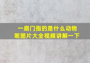 一扇门指的是什么动物呢图片大全视频讲解一下