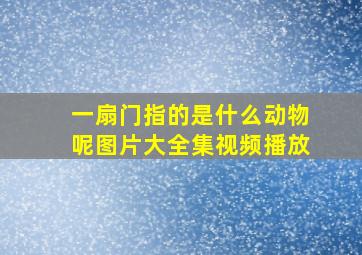 一扇门指的是什么动物呢图片大全集视频播放