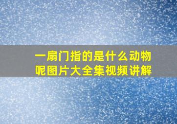 一扇门指的是什么动物呢图片大全集视频讲解