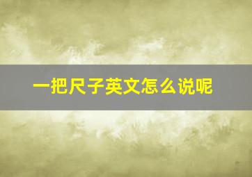 一把尺子英文怎么说呢