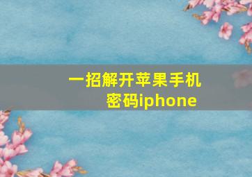 一招解开苹果手机密码iphone