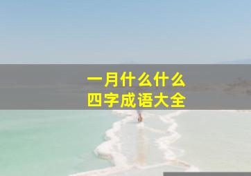 一月什么什么四字成语大全