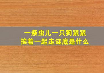 一条虫儿一只狗紧紧挨着一起走谜底是什么