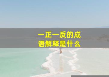 一正一反的成语解释是什么