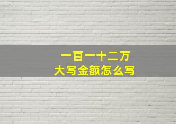 一百一十二万大写金额怎么写