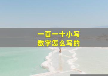 一百一十小写数字怎么写的