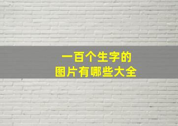 一百个生字的图片有哪些大全