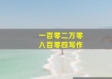 一百零二万零八百零四写作