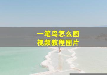 一笔鸟怎么画视频教程图片