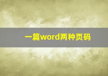 一篇word两种页码