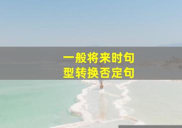 一般将来时句型转换否定句