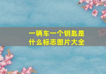 一辆车一个钥匙是什么标志图片大全