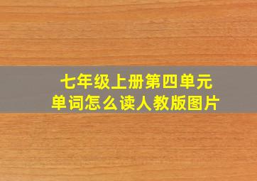 七年级上册第四单元单词怎么读人教版图片