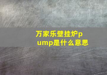 万家乐壁挂炉pump是什么意思