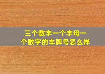 三个数字一个字母一个数字的车牌号怎么样