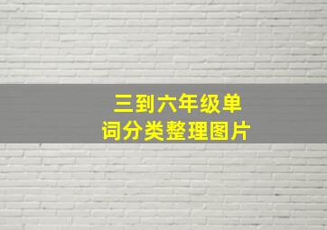 三到六年级单词分类整理图片