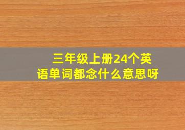 三年级上册24个英语单词都念什么意思呀