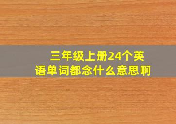 三年级上册24个英语单词都念什么意思啊