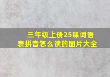 三年级上册25课词语表拼音怎么读的图片大全