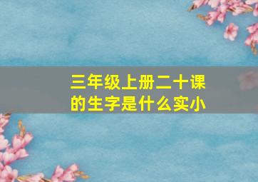 三年级上册二十课的生字是什么实小