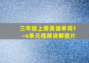 三年级上册英语单词1~6单元视频讲解图片