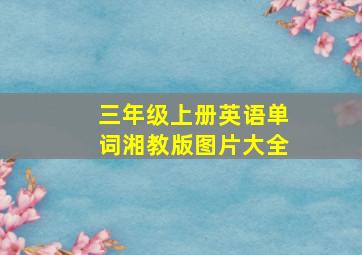 三年级上册英语单词湘教版图片大全