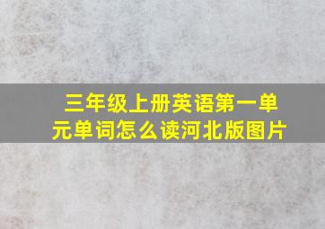 三年级上册英语第一单元单词怎么读河北版图片