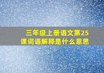 三年级上册语文第25课词语解释是什么意思