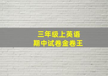 三年级上英语期中试卷金卷王