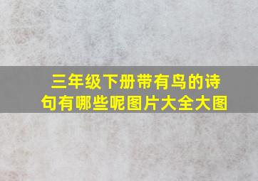 三年级下册带有鸟的诗句有哪些呢图片大全大图