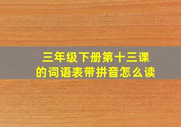 三年级下册第十三课的词语表带拼音怎么读