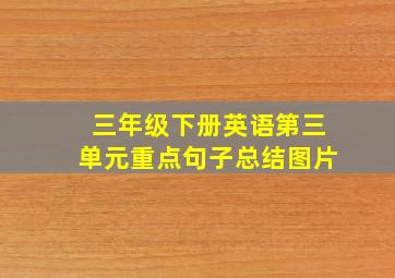 三年级下册英语第三单元重点句子总结图片