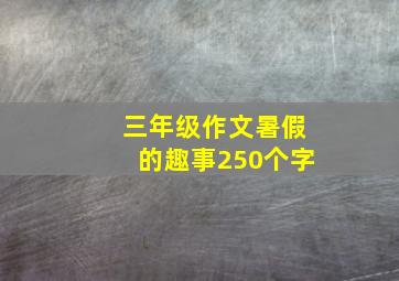 三年级作文暑假的趣事250个字