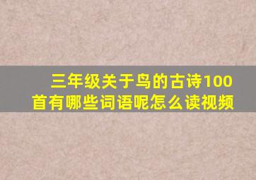 三年级关于鸟的古诗100首有哪些词语呢怎么读视频