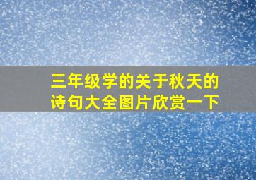 三年级学的关于秋天的诗句大全图片欣赏一下