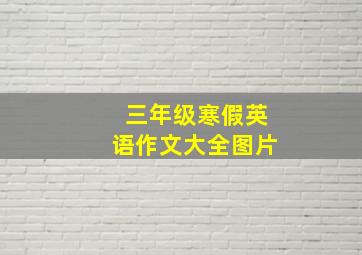 三年级寒假英语作文大全图片